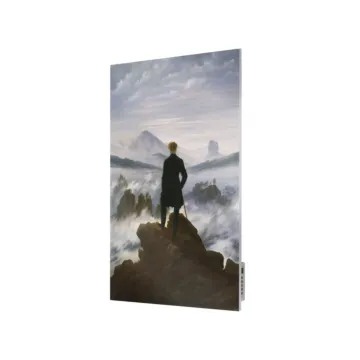 Metal Infrared Heater TF-SWT700 with Print Wanderer above the Sea of Fog